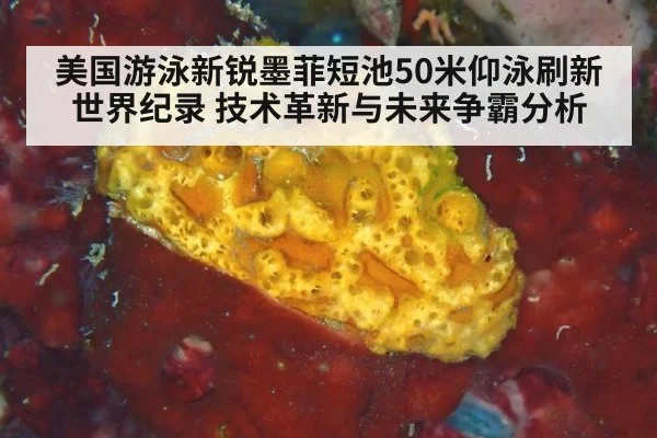 美国游泳新锐墨菲短池50米仰泳刷新世界纪录 技术革新与未来争霸分析